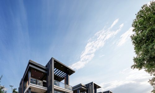 original-C2F3DECC-C805-40B5-9379-54489D40F08D