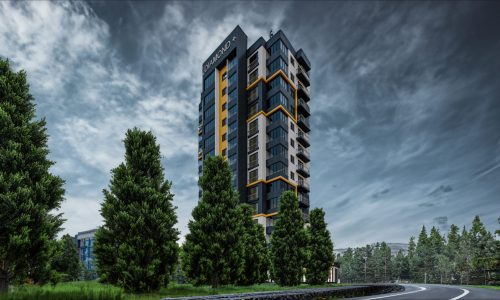 processed-1D599ACB-70B6-4E93-BC73-3DCA1CB00D4B