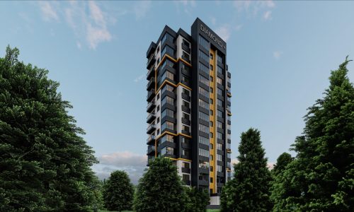 processed-C1976DFD-0610-4C78-A9DE-A3B874E73999